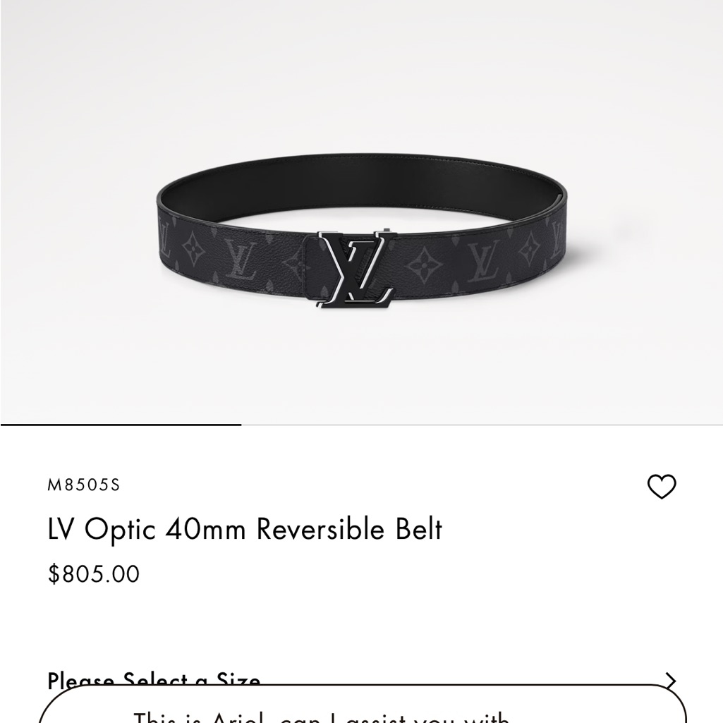 Louis Vuitton Black Monogram Belt